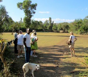 ODES and SCEH surveying possible sites for the library