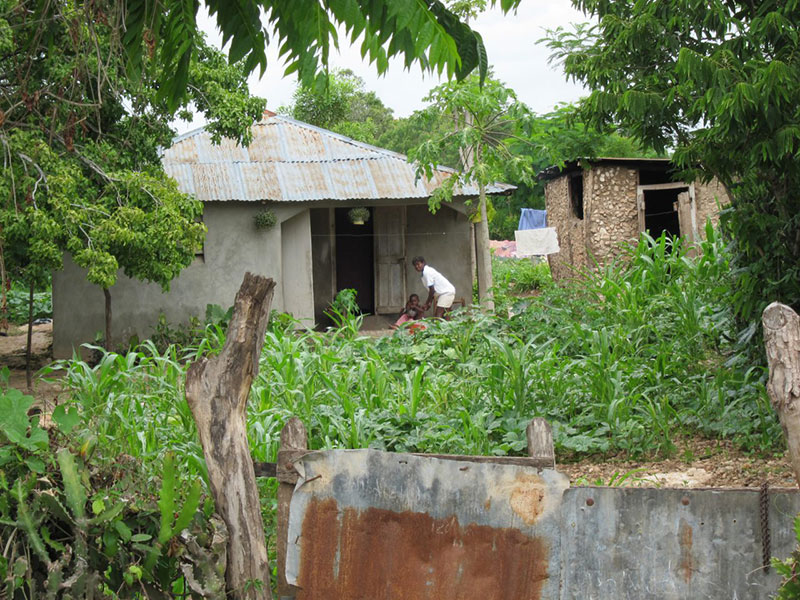 Deschapelles Haiti fields